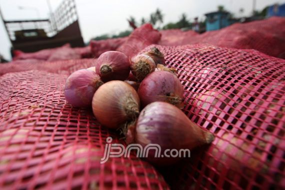 Petinggi PPP Tuding Mentan Biang Kisruh Harga Bawang - JPNN.COM