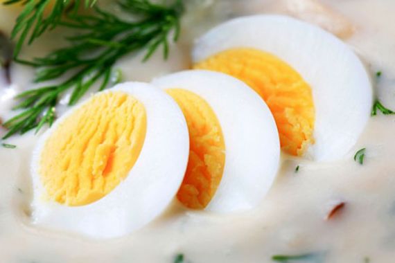 Protein Putih Telur Ampuh Turunkan Tekanan Darah Tinggi - JPNN.COM