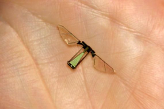 Ilmuwan AS Bikin Robot Lalat Terkecil di Dunia - JPNN.COM