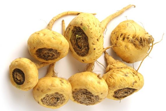 Menambah Stamina dengan Gingseng Peru - JPNN.COM