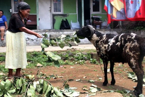 Demi Kendaraan ke Surga, Nabung Rp 500 Selama Tujuh Tahun - JPNN.COM