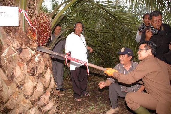 Kemnakertrans Proses 360 Ribu Bidang Tanah Transmigran yang Belum Disertifikasi - JPNN.COM