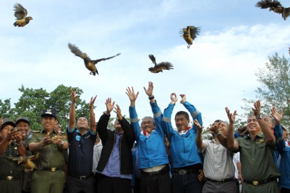 Pertamina EP Konservasi Burung Maleo - JPNN.COM