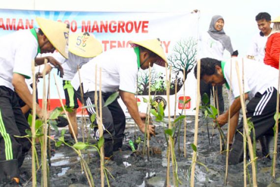 Mangrove untuk Tambakrejo - JPNN.COM