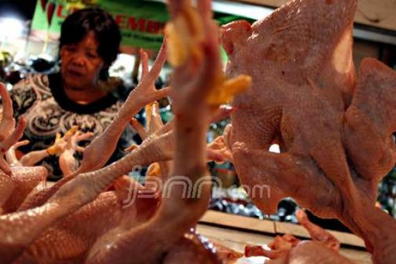 Kehalalan Daging Ayam di Pasar Cibinong Diragukan - JPNN.COM