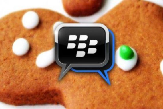 BBM Gingerbread Bocor di Internet - JPNN.COM