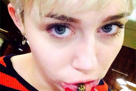 Miley Cyrus Mentato Bibirnya Gambar Kucing - JPNN.COM