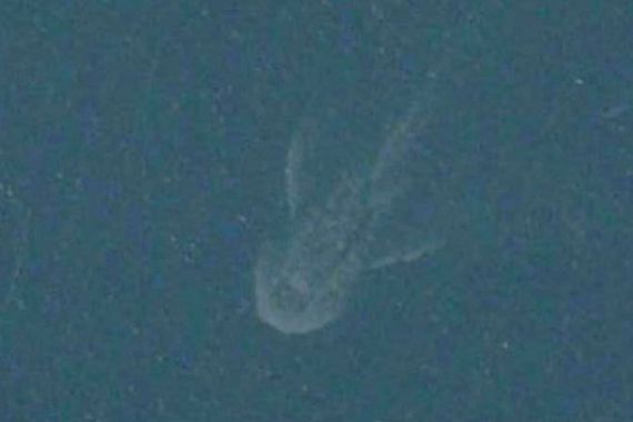 Satelit Apple Tangkap Citra Monster Loch Ness? - JPNN.COM