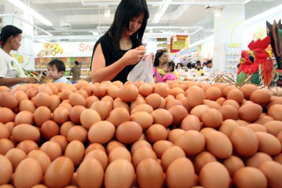 Agustus, Harga Ayam-Telur Diprediksi Turun - JPNN.COM