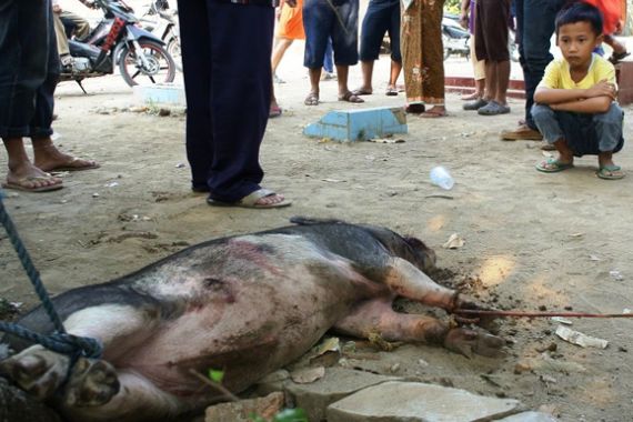 Gempar! Diduga â€˜Babi Ngepetâ€™ Tertangkap di Bekasi Jaya - JPNN.COM