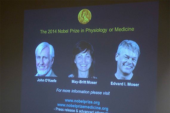 Trio Penemu 'GPS' Otak Raih Nobel Kedokteran - JPNN.COM