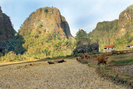 Hutan Batu Maros, Destinasi Wisata Alam yang Kurang Dapat Perhatian - JPNN.COM