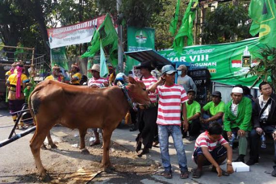 PPP Berubah Haluan, Dukung Pilkada Langsung - JPNN.COM