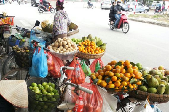 Hasil Pertanian Vietnam Siap Serbu Pasar Indonesia - JPNN.COM