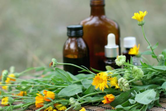 Sehat dengan Obat Herbal - JPNN.COM