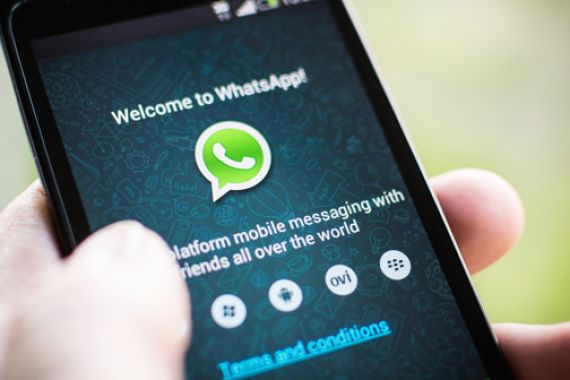 WhatsApp Bisa Crash Saat Mengirim Pesan - JPNN.COM