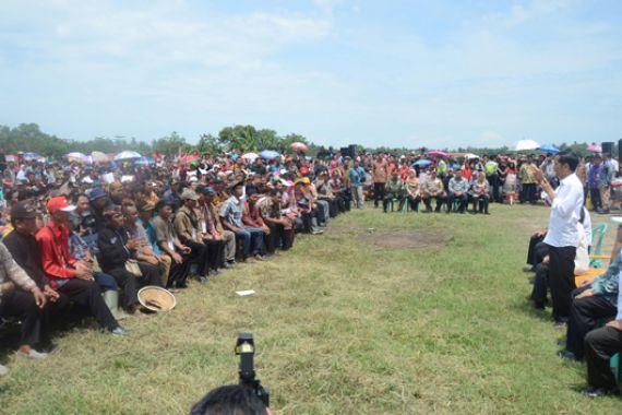 Jokowi Serahkan Penghargaan Pangan di Tengah Sawah - JPNN.COM