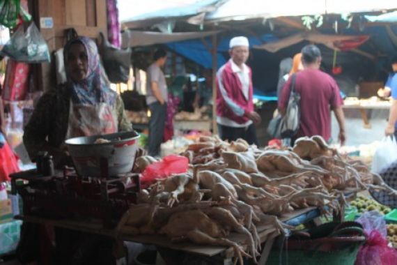 Harga Ayam Pedaging Tembus Rp 48 Ribu per Ekor - JPNN.COM