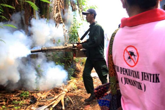 Wabah Chikungunya Serang Tiga Kelurahan - JPNN.COM