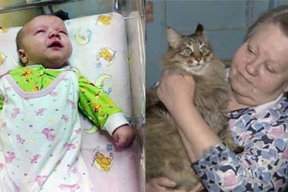 Aksi Heroik Seekor Kucing Bernama Masha Menyelamatkan Bayi - JPNN.COM