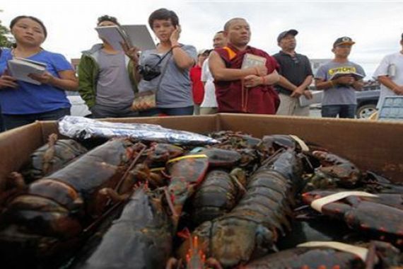 Di Tiongkok, Lobster dan Kepiting Bertelur jadi Barang Mewah - JPNN.COM