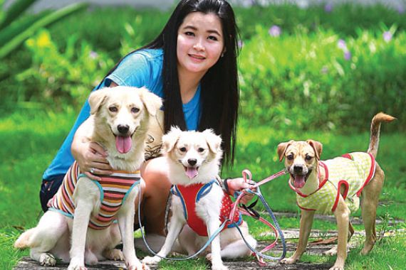 Perempuan Cantik Ini Senang Menyelamatkan Anjing Telantar di Jalanan - JPNN.COM