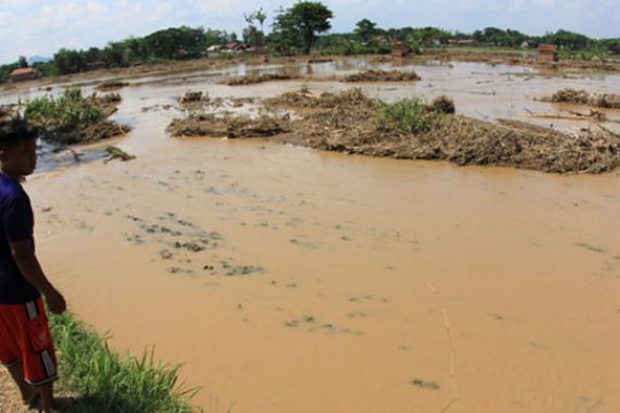 Banjir Menerjang, Puluhan Hektare Sawah Gagal Panen - JPNN.COM