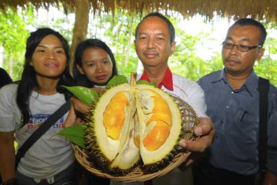 Bikin Ngiler...Pesta Durian Merah, Gratis - JPNN.COM