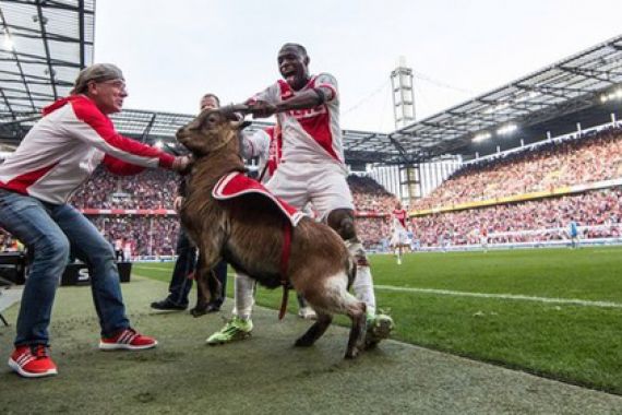 Usai Cetak Gol, Pemain Ini Minta Maaf Pada Kambing - JPNN.COM