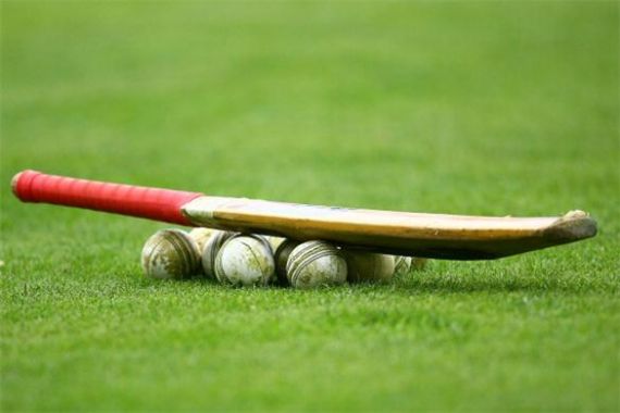 Targetkan Cricket Raih Emas di Asian Games dan Sea Games - JPNN.COM