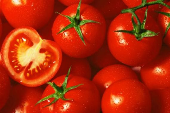Gemar Makan Tomat Turunkan Risiko Kanker Prostat - JPNN.COM