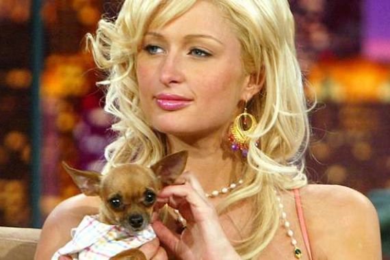 Anjing Imutnya Mati, Paris Hilton Patah Hati - JPNN.COM