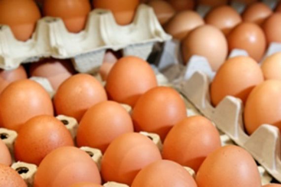 Di Depok, Harga Telur Ayam Naik Lagi - JPNN.COM