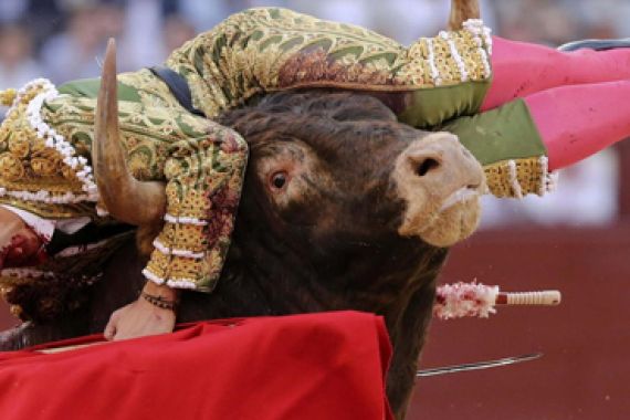 Sadis! Leher dan Perut Kena Tanduk serta Diseret Banteng, Ini Videonya - JPNN.COM