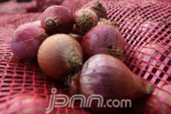 Bawang Merah Impor Ilegal Mulai Masuk Pasar Lokal - JPNN.COM