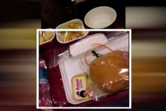 Astaga... Cecak Ini Ada dalam Makanan Penumpang Pesawat Air India - JPNN.COM