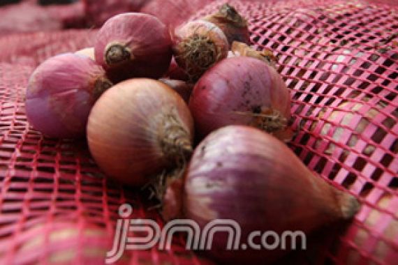 Harga Sayuran Masih Tinggi, Tomat dan Bawang Merah Turun - JPNN.COM