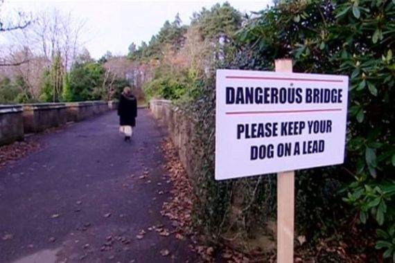 Jembatan Angker, 50 dari 600 Anjing Tewas secara Misterius - JPNN.COM