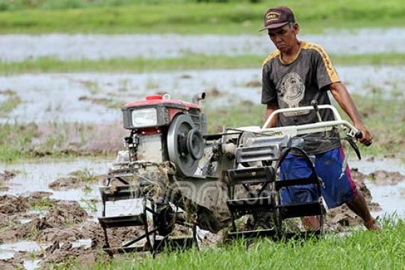 Pupuk Indonesia Dirikan Anak Perusahaan Khusus Urusin Padi dan Jagung - JPNN.COM