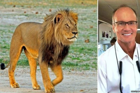 Bunuh Singa Kesayangan Afrika, Dokter Gigi Ini Dapat Ancaman Pembunuhan - JPNN.COM