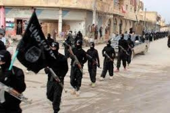 WOW... ISIS Gunakan Nyamuk sebagai Senjata Pembunuh - JPNN.COM