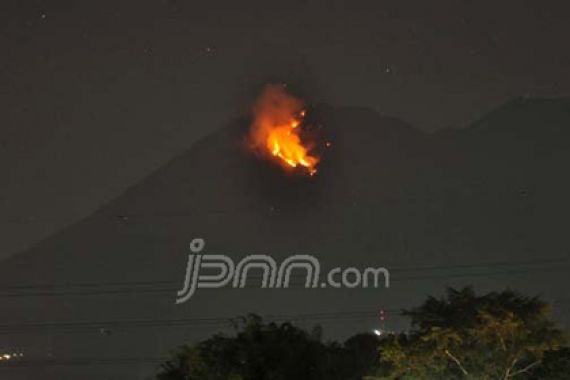 Waduh.. Gunung Sumbing dan Andong Sengaja Dibakar - JPNN.COM