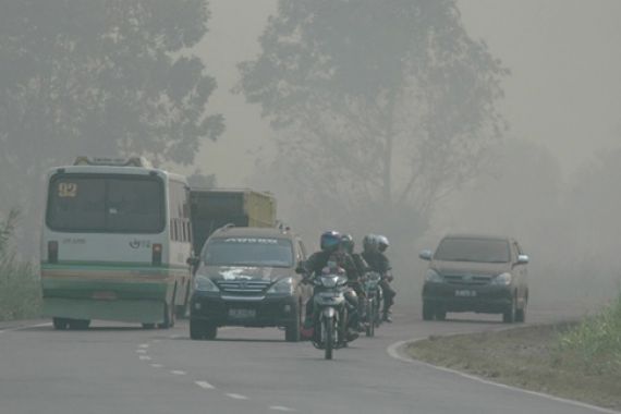 Tersangka Pembakar Lahan dan Hutan Bertambah jadi 76 Orang - JPNN.COM