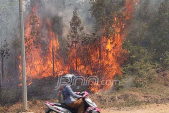 Kebakaran Hutan Sumatera, Polri Selidiki Tiga Perusahaan - JPNN.COM