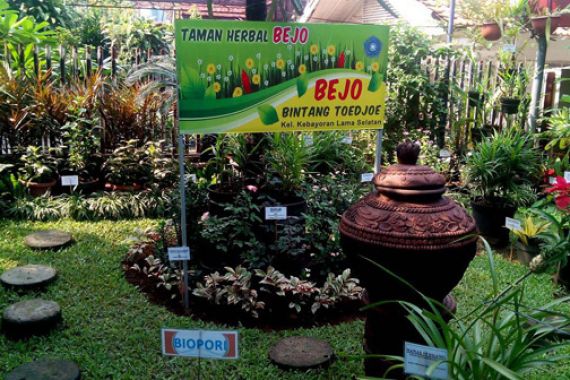 Ooo...Makanya Perlu Berkebun - JPNN.COM