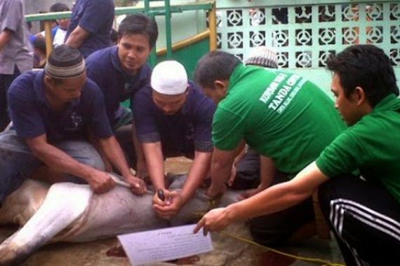 Agar Barokah, Ini Cara Memotong Kurban - JPNN.COM