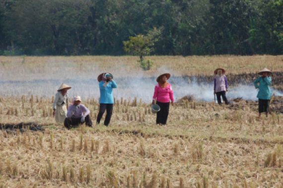 Antisipasi Kemarau, Petani Diimbau Percepat Masa Tanam - JPNN.COM