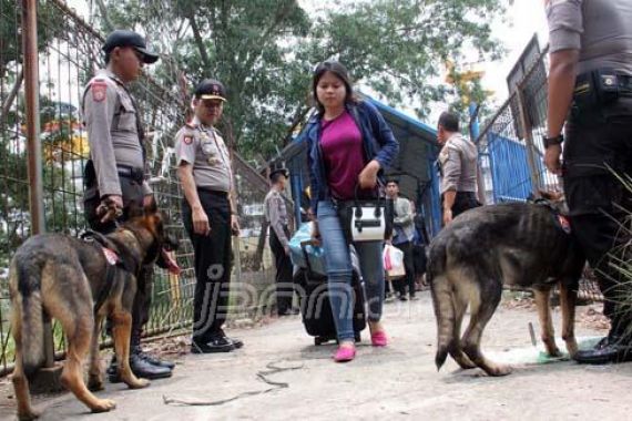 Ingin Seperti Polisi, Satpol PP Minta Anjing Pelacak untuk Cegah Narkoba dari Malaysia - JPNN.COM