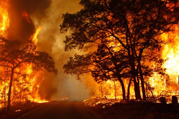 WUIH...Sudah Segini Kasus Pembakaran Hutan dan Lahan Ditangani Polri - JPNN.COM