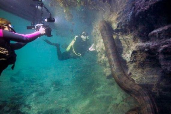 ALAMAK! Ketemu Anaconda 8 Meter saat Menyelam, Nasib Wanita Ini Beruntung... - JPNN.COM